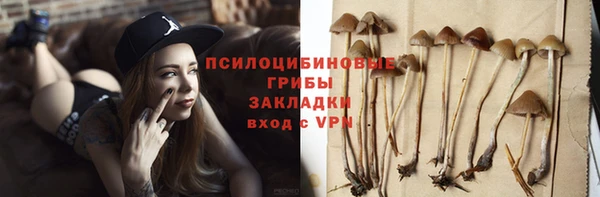 ГАЛЛЮЦИНОГЕННЫЕ ГРИБЫ Володарск
