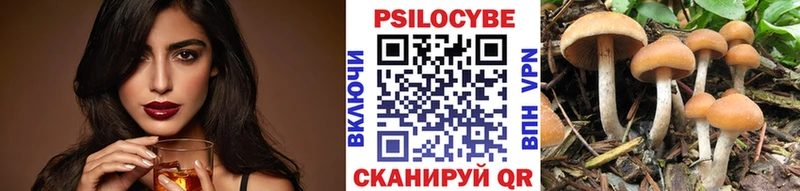Галлюциногенные грибы прущие грибы  Купить где  Приморск 